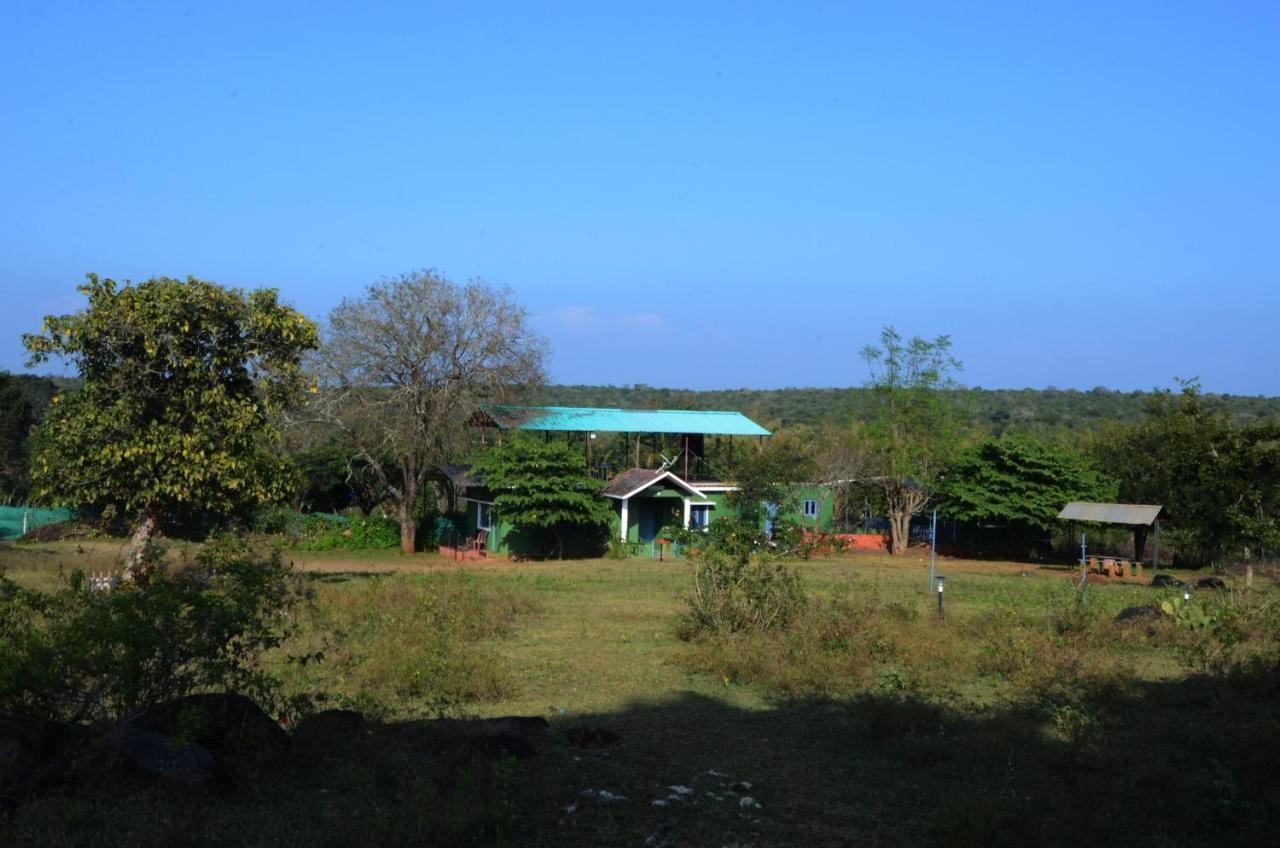Aarraams Farms & Resorts Masinagudi Exteriér fotografie